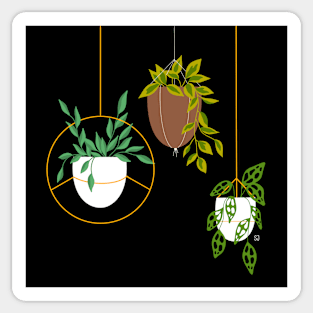 Hanging Plants Sticker